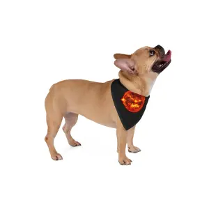 Sun Solstice Pet Bandana