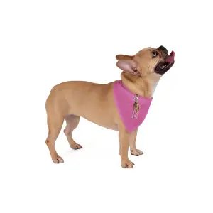 Giraffe Bow Tie Pet Bandana